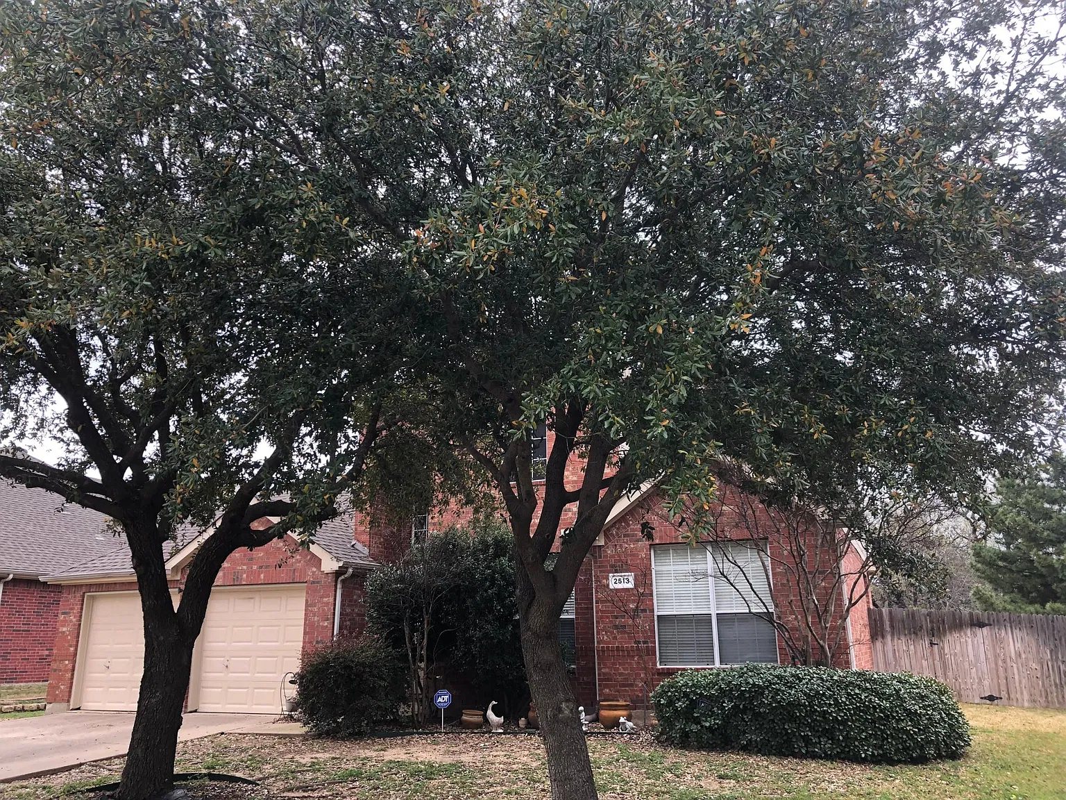 2513 Great Bear Ln — Photo 3