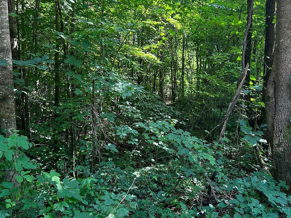 N/a Hobson Rd, Jasper, GA 30143 MLS 10186241 Zillow