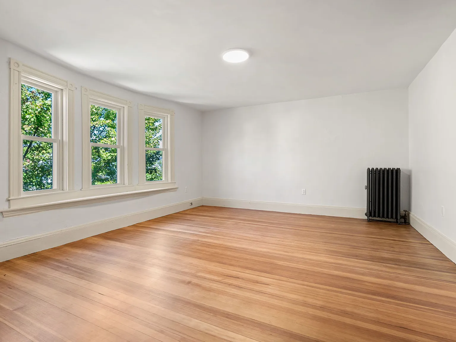 4 bed, 1.5 bath, $5,695 — Photo 3