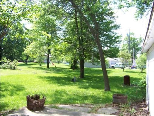 Shady Back Yard