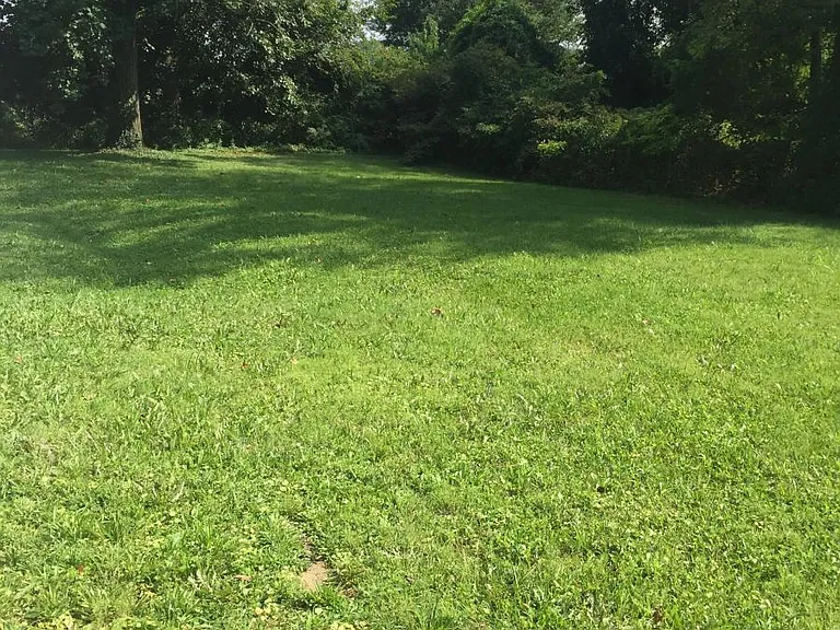 Lawn