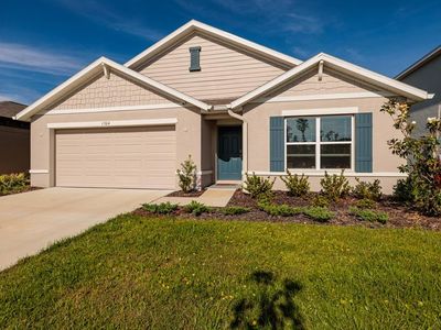 1304 Tahitian Sunrise Dr, Plant City, FL, 33565