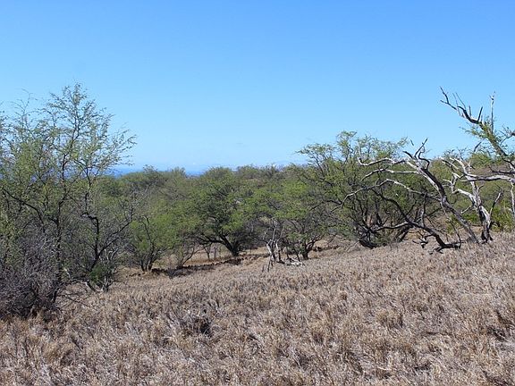 4th image of 59-650 Hoopai Trl Lot 813