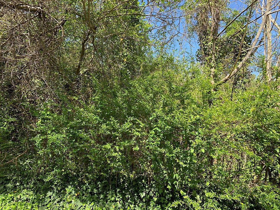 2nd image of Thomas Landing Rd