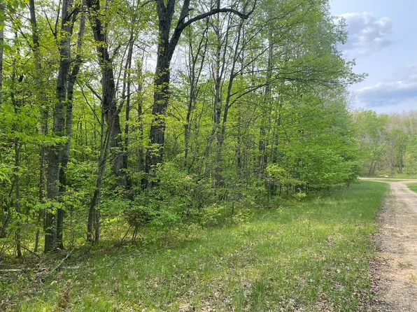 Basel Dr, Reed City, MI 49677