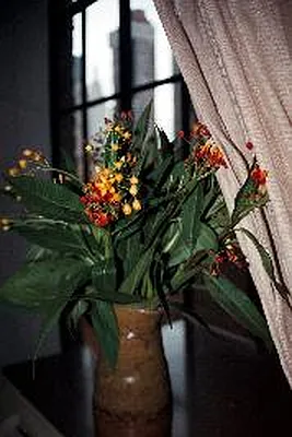 Sold by Corcoran | media 16