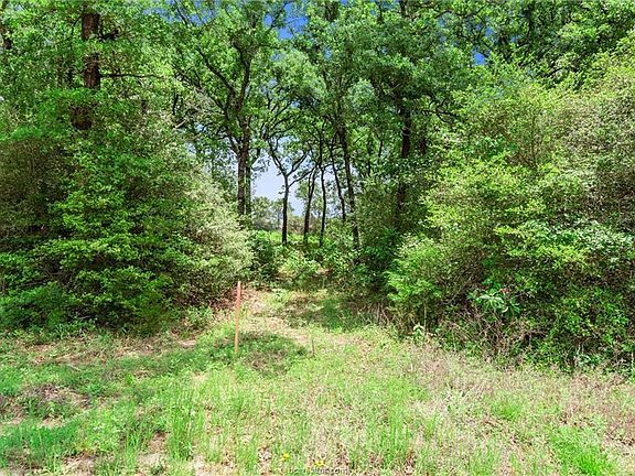 4th image of 1311 Azalea Dr