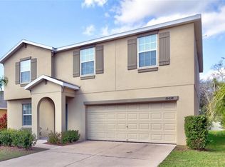 10038 Crested Fringe Dr, Riverview, FL 33578