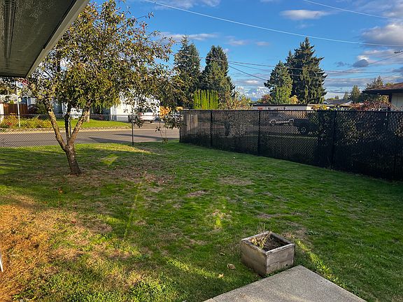 Backyard from Porch