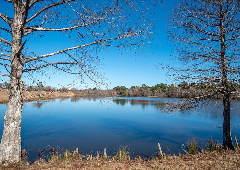 1st image of 1035 County Road 4335