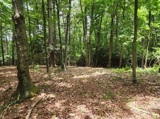 Harrison Dr, Fancy gap, VA 24328