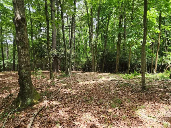 Harrison Dr, Fancy Gap, VA 24328