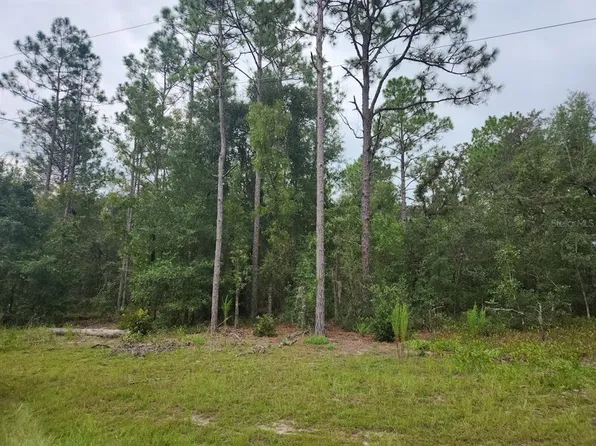 LOT 24 SW 89th Cir Lot 24, Ocala, FL 34473
