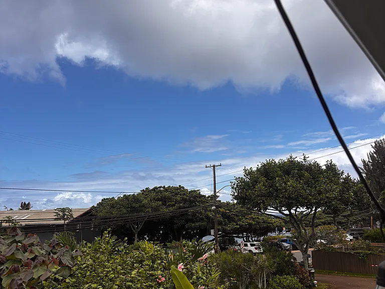 59-790 Kamehameha Hwy — Photo 14
