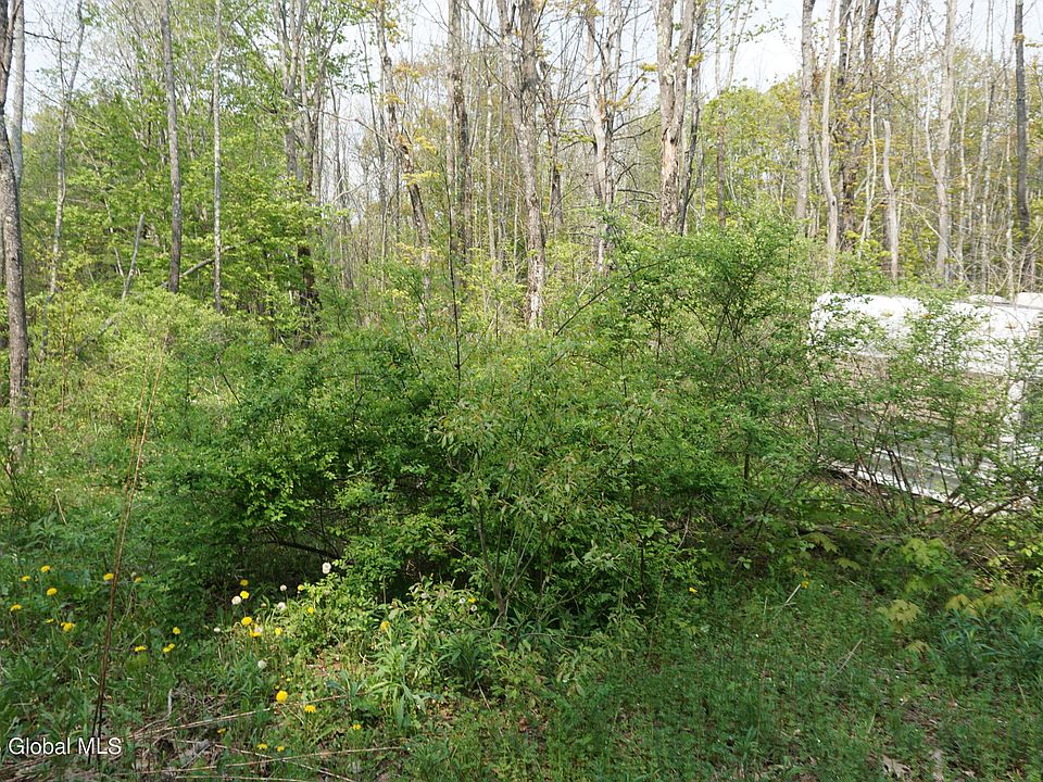 83 Thunder Hill Road, Rensselaerville, NY 12147 MLS 202317385 Zillow