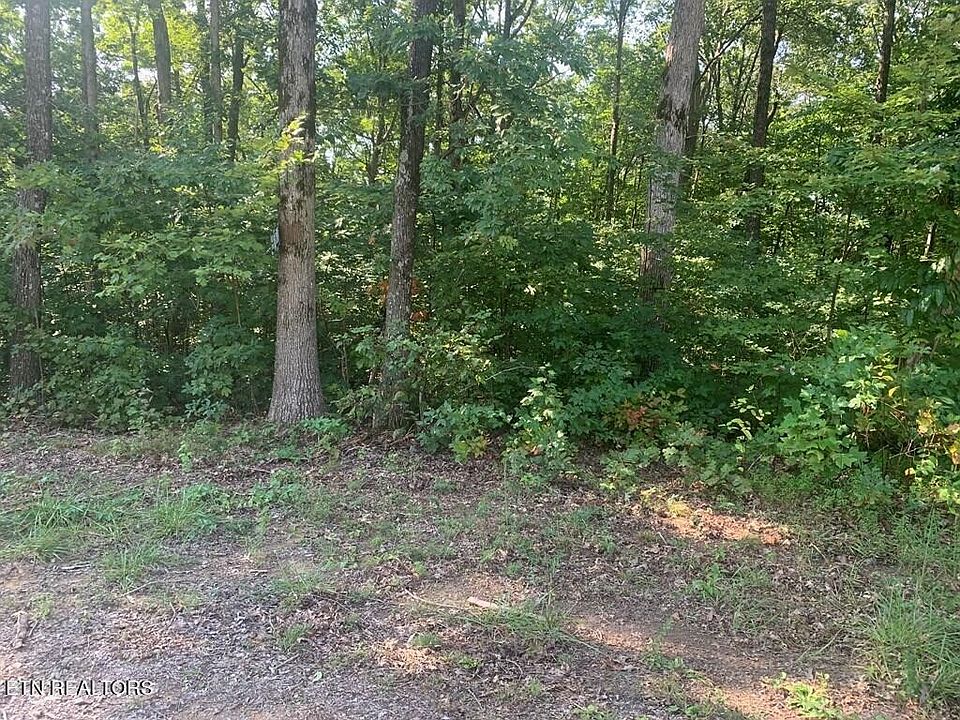1st image of 459 Evening Shade Ln