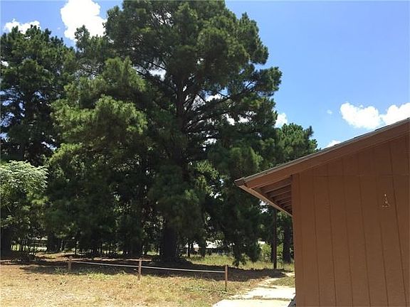Large Pine Trees on the property