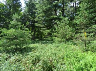 10523 Balsom Creek Rd, Croghan, NY 13327