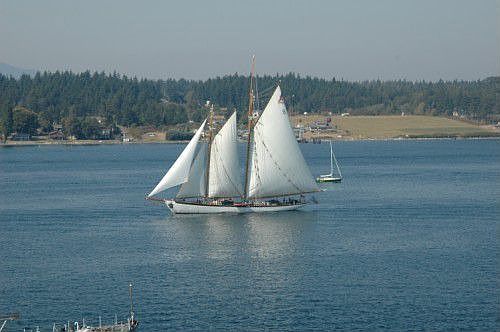 Guemes Channel, from living room