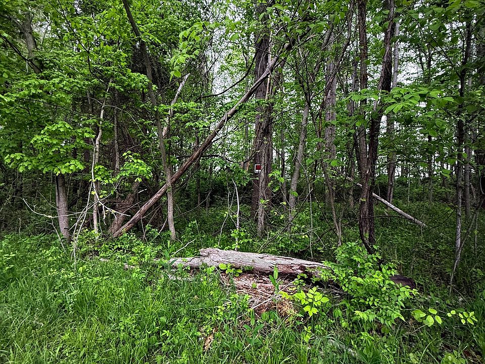 2nd image of 0 W Buckingham Dr