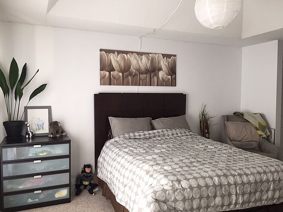 Master Bedroom on Lower level