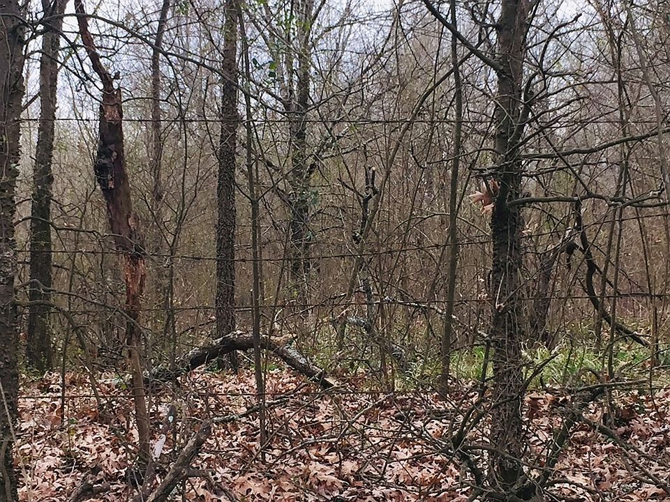 2nd image of 0 State Highway 58 N