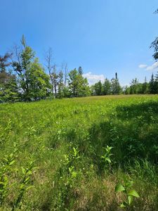 LOT 3 Hooper Creek Loop NW, Baudette, MN, 56623
