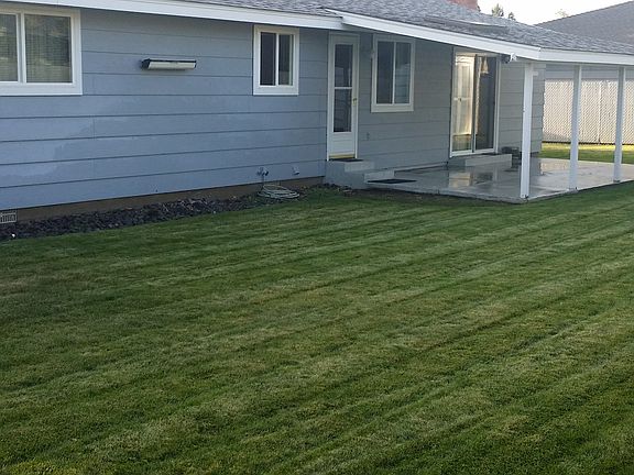 Back yard