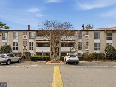 5608 Bloomfield Dr APT 101, Alexandria, VA, 22312