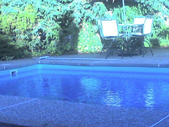 Pool, Backyard