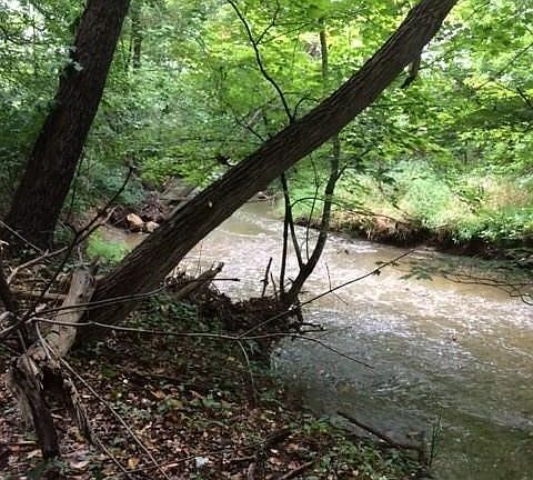 5th image of 8036 Fair Rd