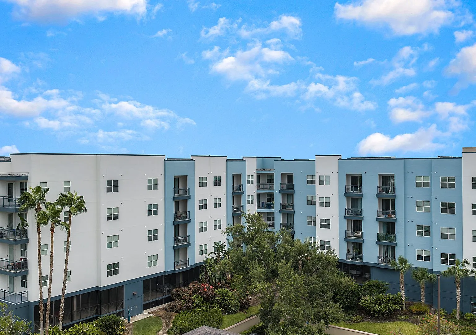 Mosaic Westshore Apartments — Photo 3