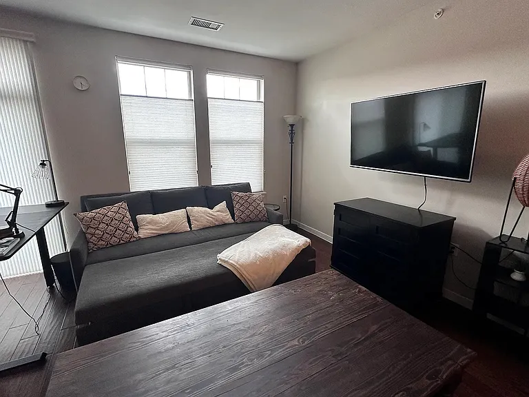 60" TV with Room & Board sofa with pull out bed.