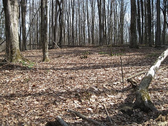 3rd image of 0 Mohawk Lake Rd