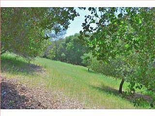 4th image of 65 S Palomar Dr