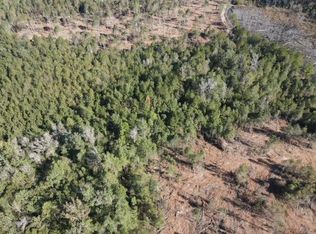 95 Lehr Crossing Rd, Tylertown, MS 39667