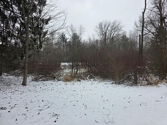 5th image of Vl 111a W Webster Rd