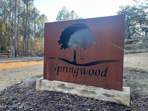 Springwood Trl Lot 13, Flora, MS 39071