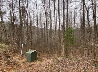 LOT 15 Cohutta Ranch Rd, Blue Ridge, GA 30513