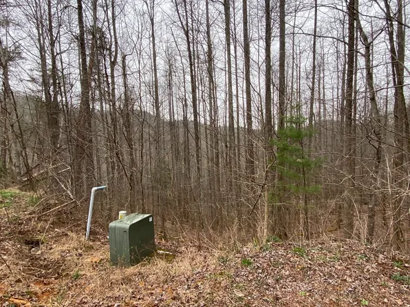 LOT 15 Cohutta Ranch Rd, Blue Ridge, GA 30513