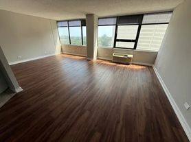 1212-13 S Michigan Ave