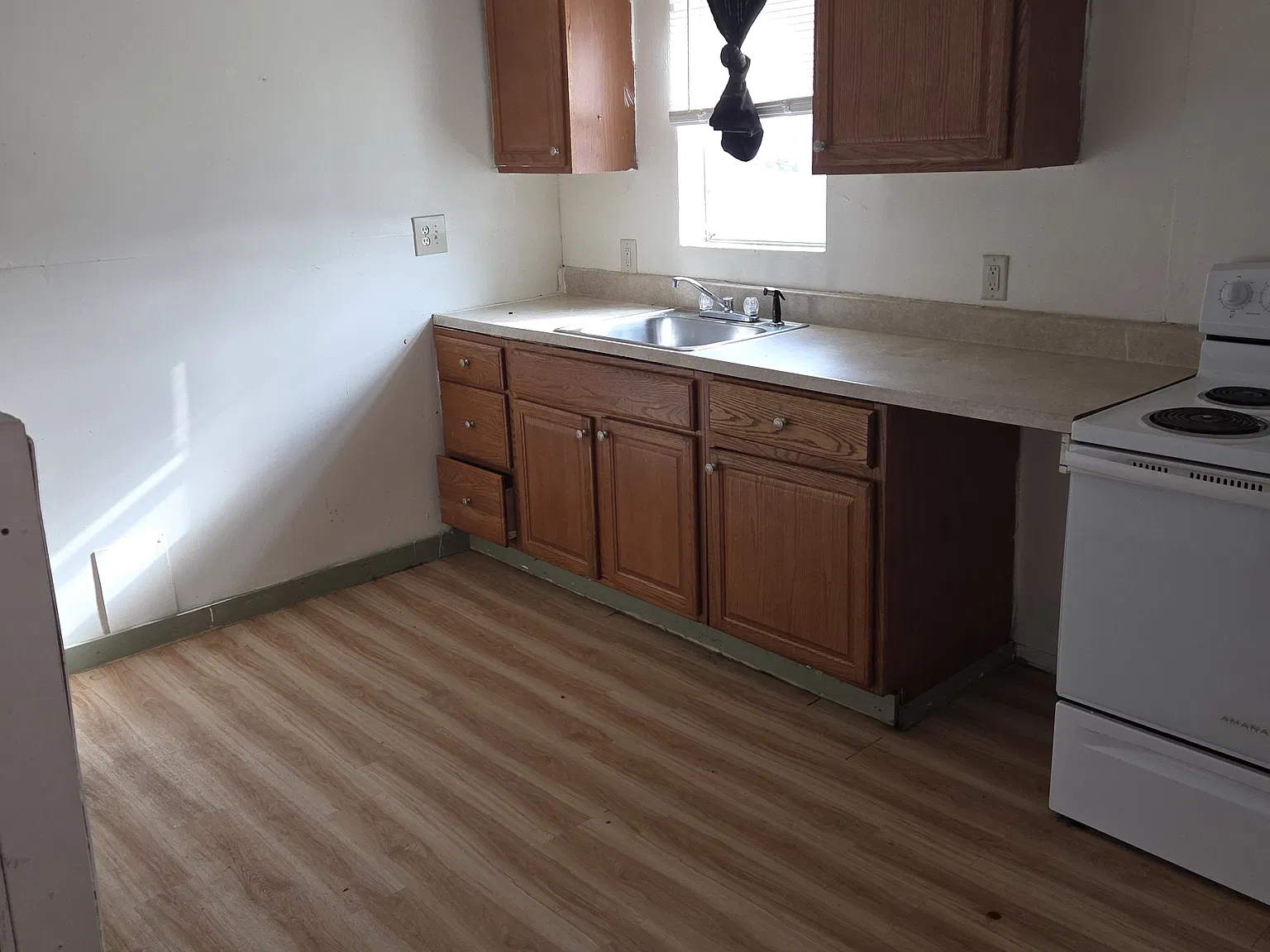 1 bed, $600 — Photo 3