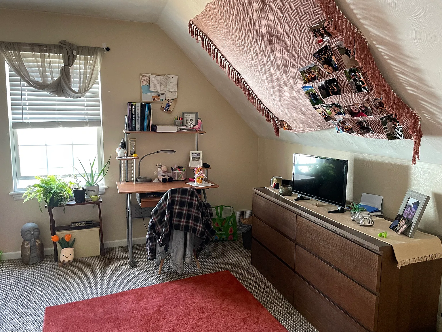 1 bed, $750 — Photo 3
