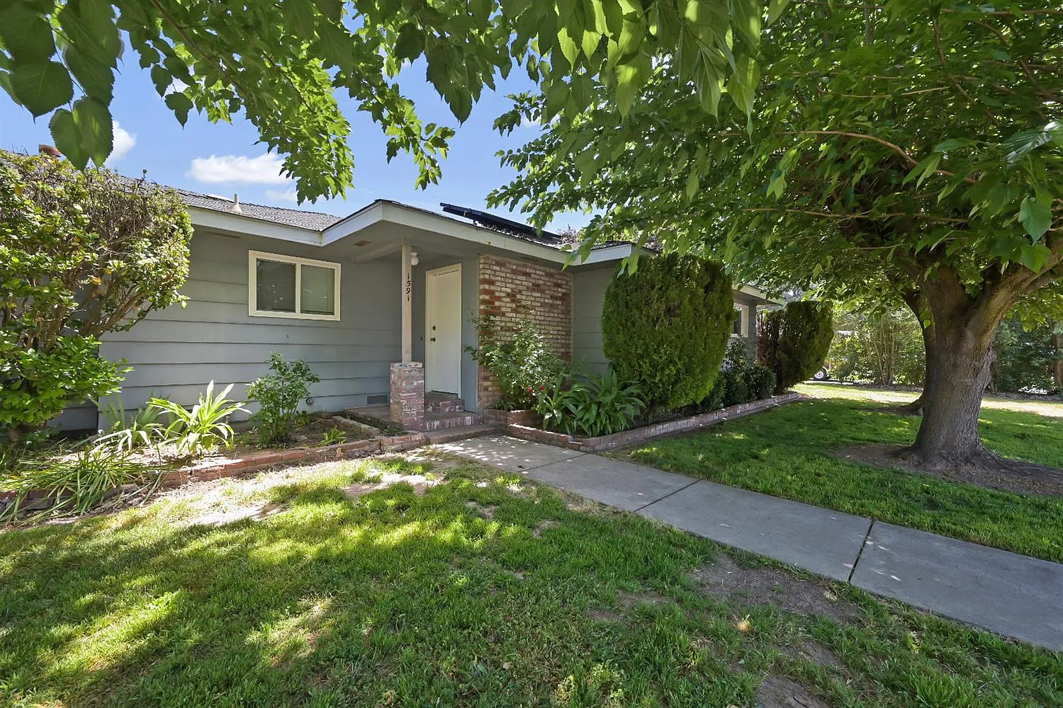 1591 Teja Dr photo 1