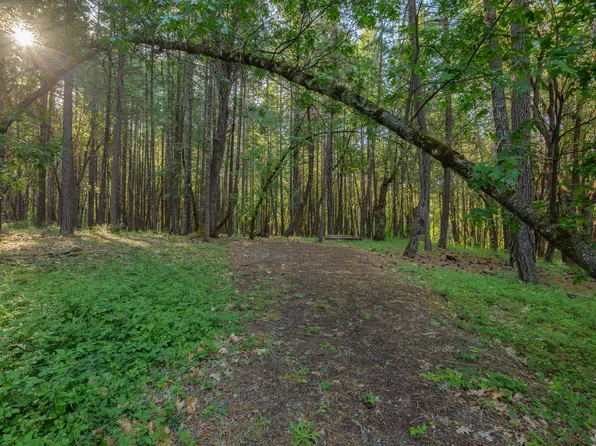 355 Firview Ln, Wilderville, OR 97543