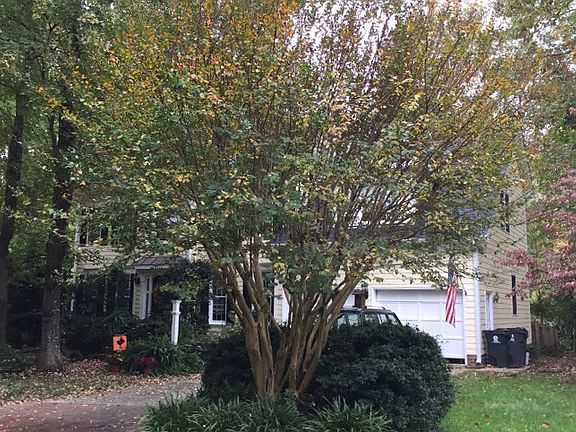 3rd image of 2007 W Sterlington Pl