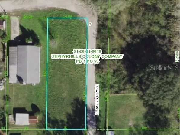 39256 Lizabeth Cir, Zephyrhills, FL 33542