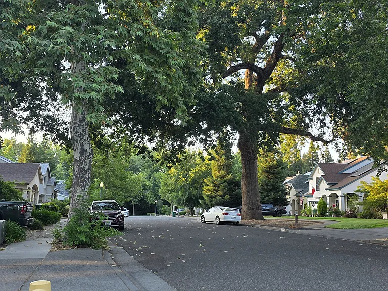 Our beautiful Neighborhood here at Heritage Oaks looking down the street in front of our house.