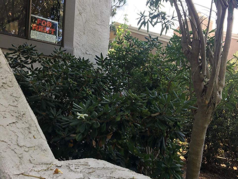 1st image of 8446 Via Sonoma