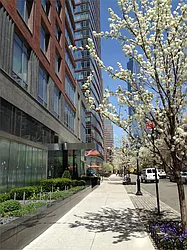 Rented by DJK Residential